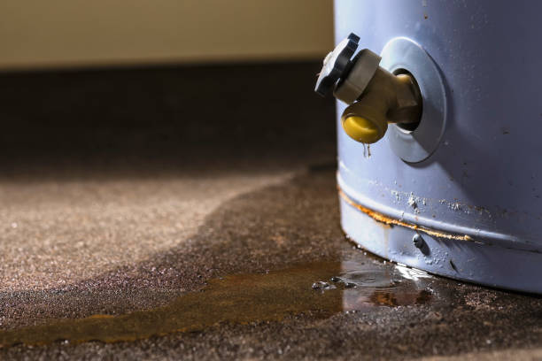 Best Water damage contractors near me  in Van, TX