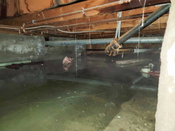 Water damage restoration process in Van, TX