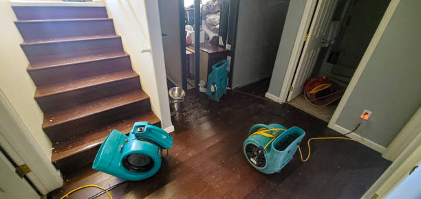 Best Water damage restoration near me  in Van, TX