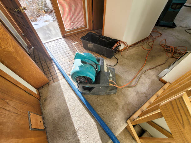 Best Residential water damage restoration  in Van, TX