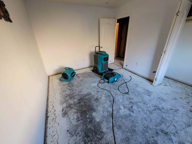 Best Residential water damage restoration  in Van, TX