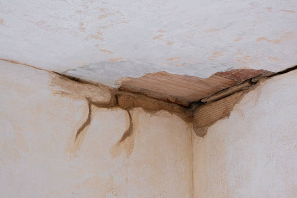 Best Local water damage restoration  in Van, TX