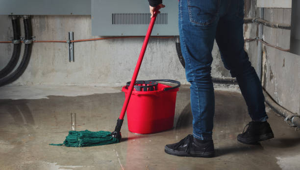 Best Professional water damage repair  in Van, TX
