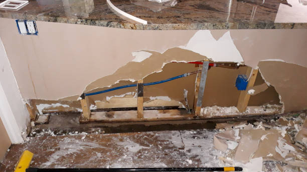 Best Water damage restoration mold remediation  in Van, TX