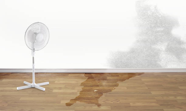 Best Water damage restoration process  in Van, TX