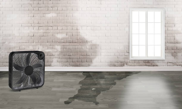 Best Flooded house restoration  in Van, TX