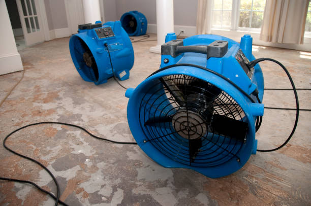 Best Water damage restoration near me  in Van, TX