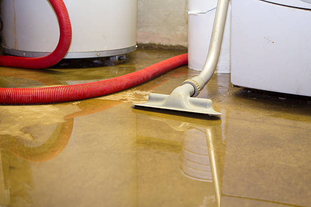 Best Carpet water damage restoration  in Van, TX