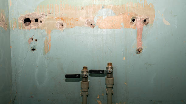 Best Professional water damage repair  in Van, TX