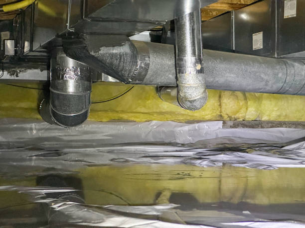 Best Ceiling water damage repair  in Van, TX