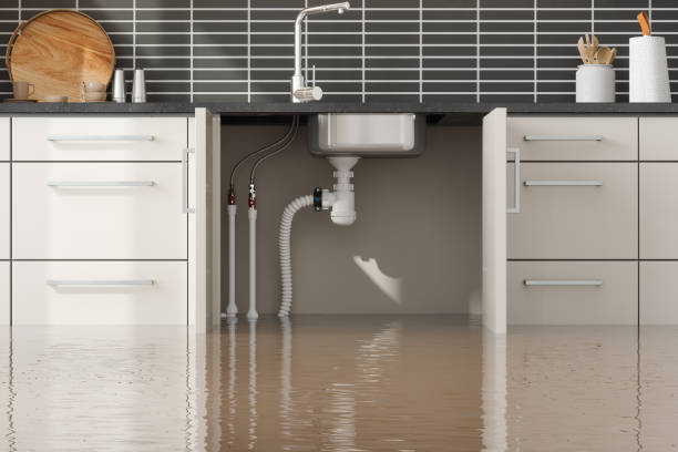 Best Local water damage restoration  in Van, TX