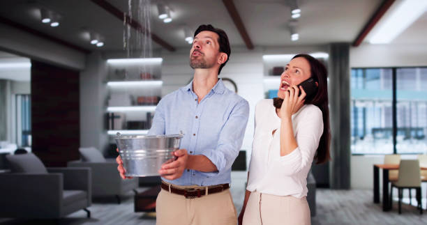 Carpet water damage restoration in Van, TX
