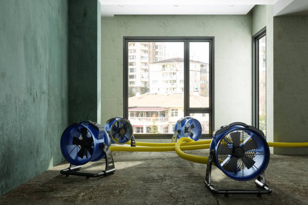 Water damage restoration mold remediation in Van, TX